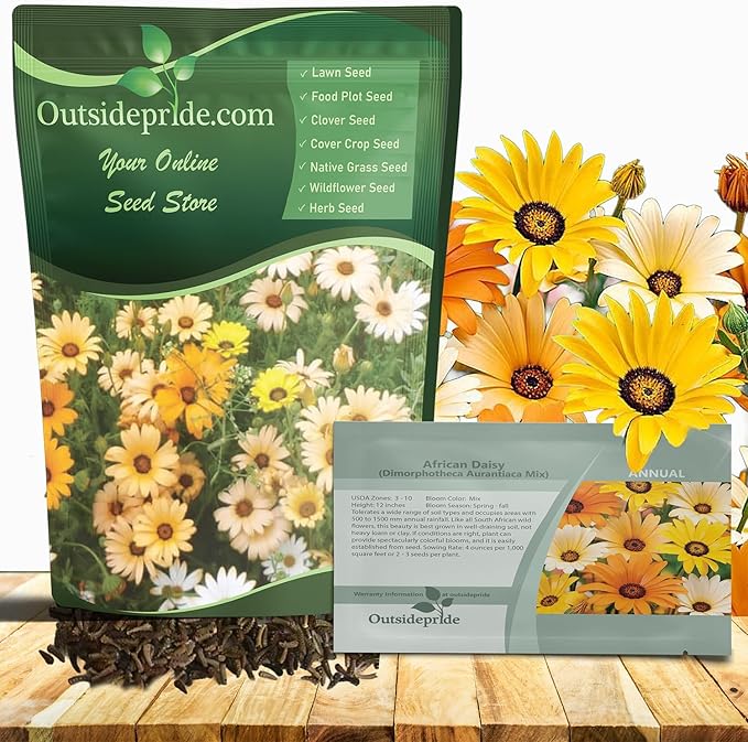 Outsidepride Mix African Daisy Seeds - 1/4 lb. Annual Flower Seeds for Planting Outdoors with Long-Lasting Blooms, Drought-Tolerant, Easy to Grow for Sunny Gardens & Borders