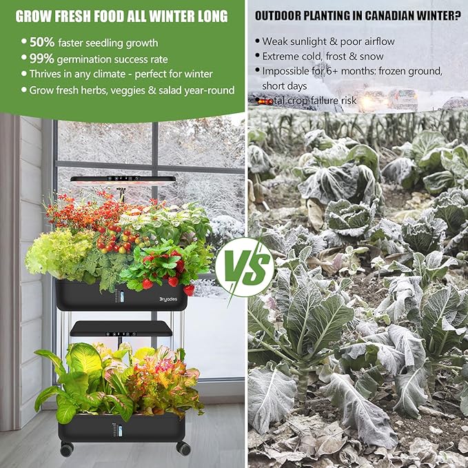 DRYADES 44-Pod Indoor Hydroponic Growing System + 3 Free Seeds Starter Kit (Lettuce, Salad Mixed, Basil Seeds) – Dual 53W Full-Spectrum LED, 10-L Water Tank, 2-Tier Grow Pods (44 Pods)