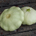 Early White Scallop Summer Squash Garden Seeds - 4 Oz - Heirloom, Non-GMO - Vegetable Gardening Seed - Mountain Valley Seeds