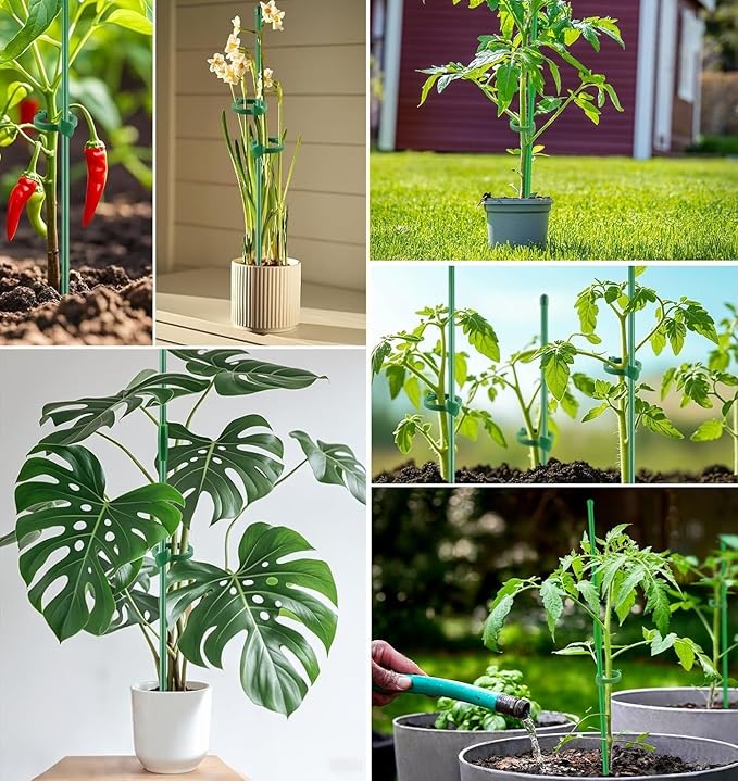 10pcs Plant Stakes for Indoor Plants, 15 inch Garden Orchid Sticks Extended to 3ft 4ft 5ft Plant Suport Stakes with Clips for Indoor Monstera Tomato Orchid Potted Plants Flower
