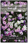 Sow Right Seeds - Mixed Moss Verbena (Verbena tenuisecta) Flower Seeds for Planting - Excellent Ground Cover - Non-GMO Heirloom Seeds - Creeping Perennial - Multicolor Blooms - Attract Pollinators