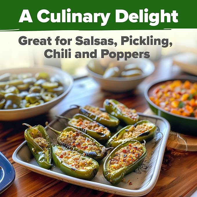 HOME GROWN Vegetable Garden Seeds Kit – 3,682+ Non-GMO USA Seeds – San Marzano Tomato, Parris Island Romaine Lettuce, Persian Cucumber & Pepper – Indoor/Outdoor High Germination Veggie Variety