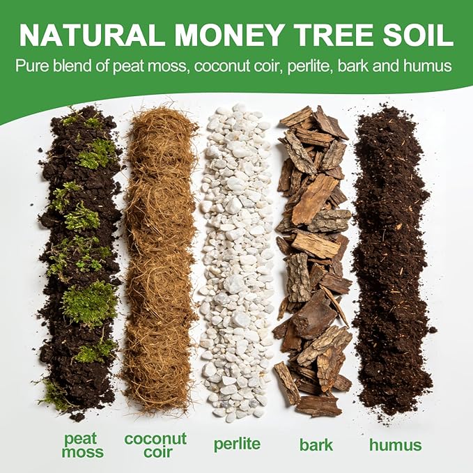 All-Natural Money Tree Soil & Indoor Potting Mix 4QT - Drainage-Enhanced Plant Soil for Healthy Indoor Plants