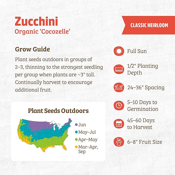 Back to The Roots 100% Organic Seed Packet - Squash 'Summer Cocozelle Zucchini' 2.8g