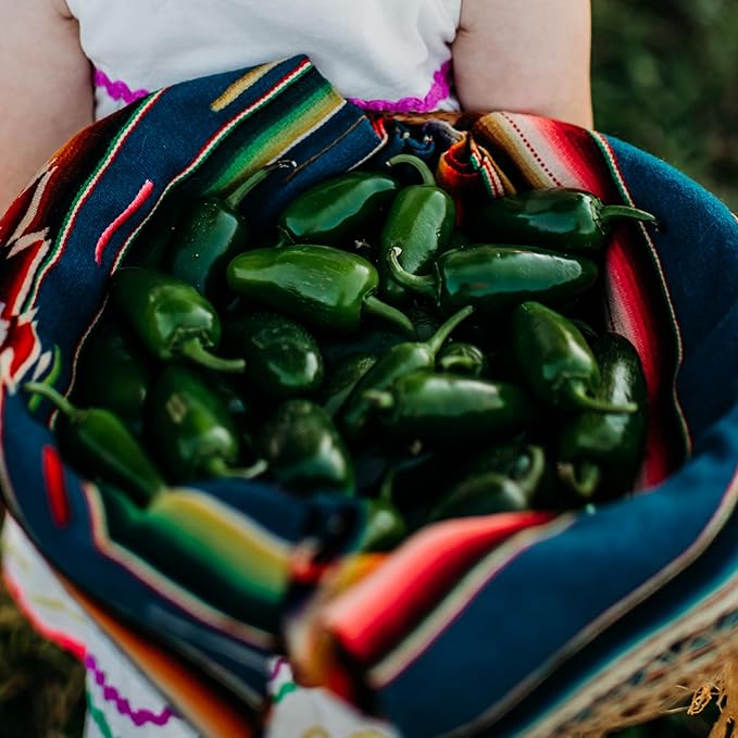 Jalapeno (Traveler) Chile Pepper - 25 Seeds - Heirloom & Open-Pollinated Variety, Non-GMO Vegetable Seeds for Planting in The Home Garden, Thresh Seed Company