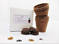 Joyous Jiffy "Herb" Collection #2-(2) Round 3x3 Jiffy pots,(2)Soil Peat Pellets(1)25+ Cilantro Seed pk(1)25+ Italian Large Leaf Basil Seed pk(1)25+ Italian Dk Green Parsley seed pk(1)25+ Thyme Seed pk