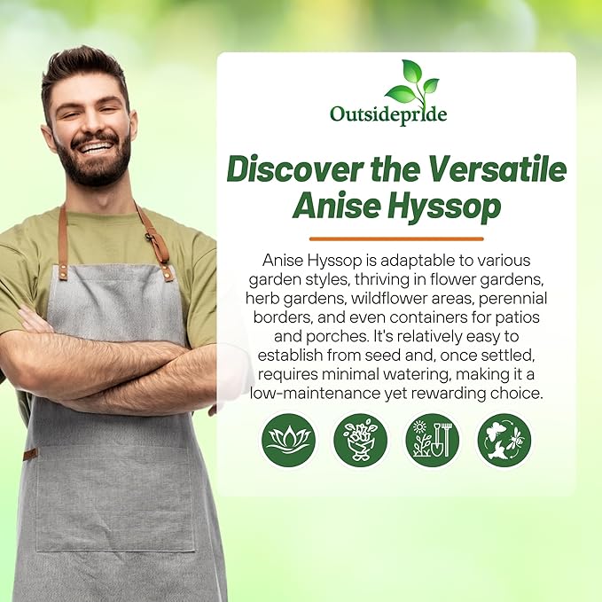 Outsidepride Blue Spike Anise Hyssop Seeds for Planting - 1000 Pcs Perennial Herb Garden Seeds with Fragrant Blooms Attractive to Pollinators, for Small Gardens, Containers, & Xeriscaping