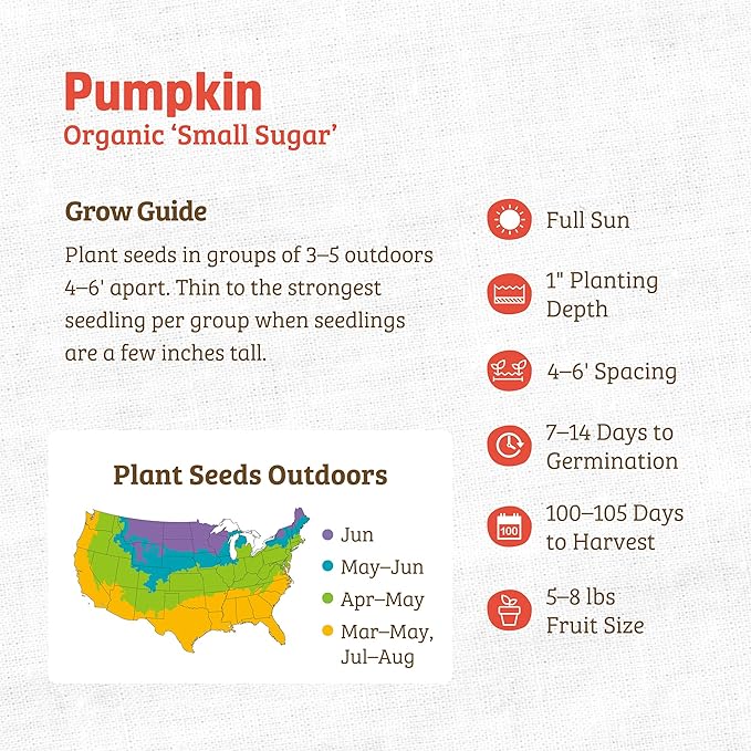 Back to The Roots 100% Organic Seed Packet - Pumpkin 'Small Sugar' 2.5g