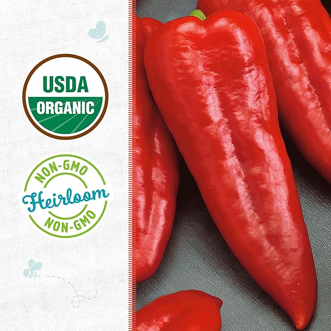 Back to The Roots 100% Organic Seed Packet - Pepper 'Sweet Red Marconi' 140mg