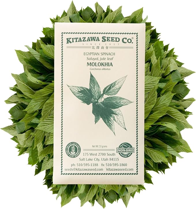 Kitazawa Seed Company Egyptian Spinach Seeds - Molokhia, Jew's Mallow, Jute Mallow, Corchorus olitorius - 2 g Packet ~1,000 Seeds - Non-GMO, Heirloom - Heirloom Asian Garden Seeds for Planting