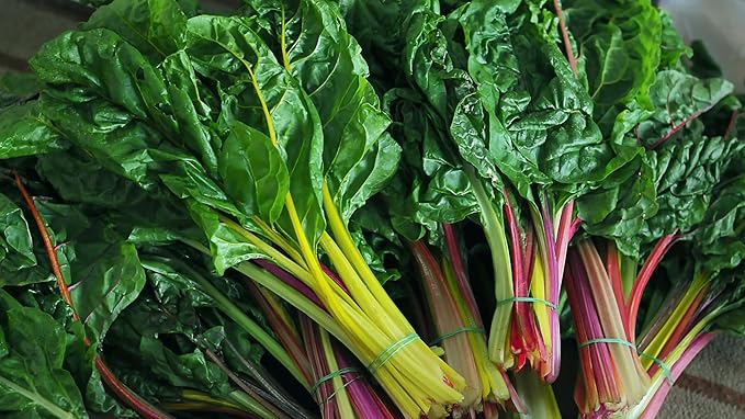 TKE Farms & Gardens - Rainbow Swiss Chard Seeds for Planting, 175+ Heirloom Non-GMO Seeds, Vibrant Mix of Red, Pink, Gold and Green Stems, Sweet Tender Leaves, Nutritious, Easy-to-Grow Garden Favorite
