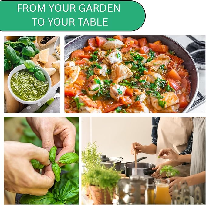 Woods Creek Seeds: Italian Large Leaf Basil Seeds for Planting - Over 2,900 Heirloom Non-GMO Italian Basil Seeds - Beginner Friendly Seed for Planting Herbs at Home, Outdoors, Indoors or Hydroponics