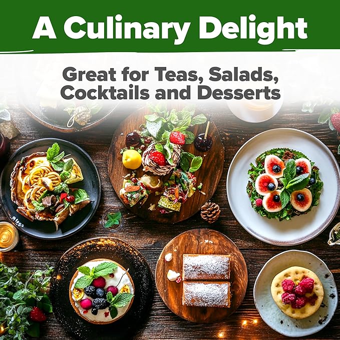 HOME GROWN Herb & Lettuce Seeds 3-Pack – Rosemary (150), Peppermint (2,370), Buttercrunch Lettuce (3,950) – Non-GMO, USA-SOURCED Heirloom Seeds for Indoor & Outdoor Growing