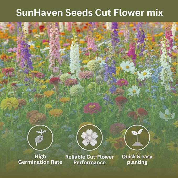 Cut Flower Garden Seed Mix – 15,000+ Seeds – 1 oz Extra Large Packet – Non-GMO Flower Seeds – Zinnia, Cosmos, Larkspur, Calendula, Bishop’s Flower & More for Bouquets & Cutting Gardens