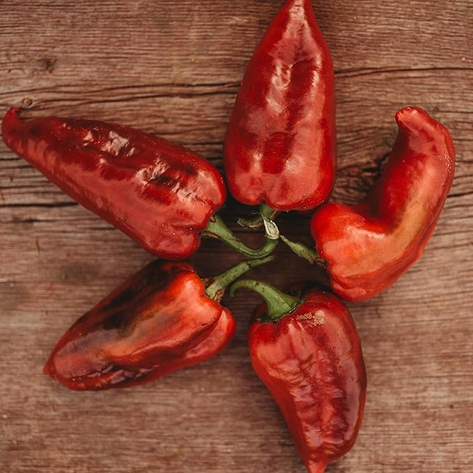 Yalova Yaglik Sweet Frying Pepper - 25 Seeds - Rare Heirloom & Open-Pollinated Variety, USA-Grown, Non-GMO Vegetable Seeds for Planting Outdoors in The Home Garden, Thresh Seed Company