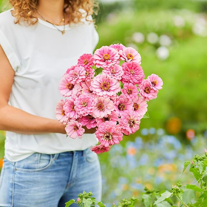 Eden Brothers Zinnia Seeds - Luminosa, Non-GMO Seeds for Planting, 1 oz | Low-Maintenance Flower Seeds, Plant During Spring, Zones 3, 4, 5, 6, 7, 8, 9, 10