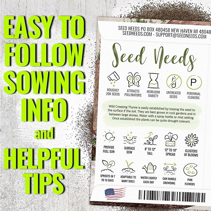 Seed Needs Wild Creeping Thyme Seeds for Planting - Heirloom & Open Pollinated - Attractive Flowering Groundcover for Rock Gardens & Butterfly Gardens (2 Packs)