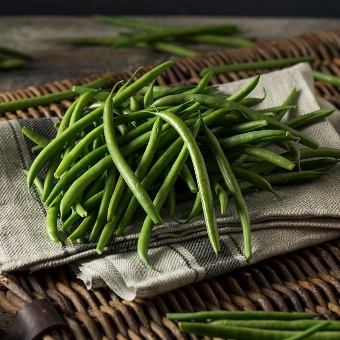 Park Seed Organic Derby Bush Green Bean Seeds – AAS Winner, High Yield 18-Inch Plants, Straight 7-Inch Pods, Disease Resistant, Easy to Harvest and Preserve for Home Gardens – Pack of 100 Seeds