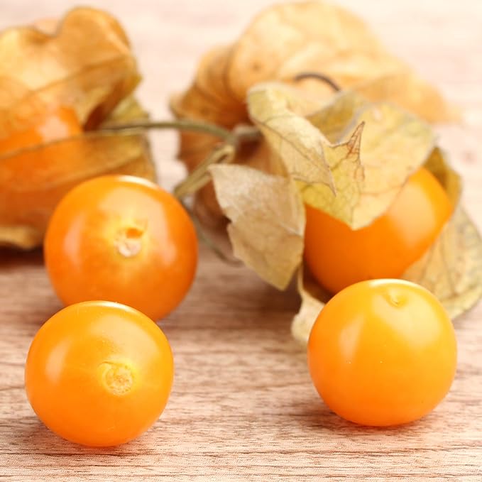 Seed Needs, Ground Cherry Tomatillo Seeds for Planting (Physalis pruinosa) Heirloom, Non-GMO & Untreated (2 Packs)