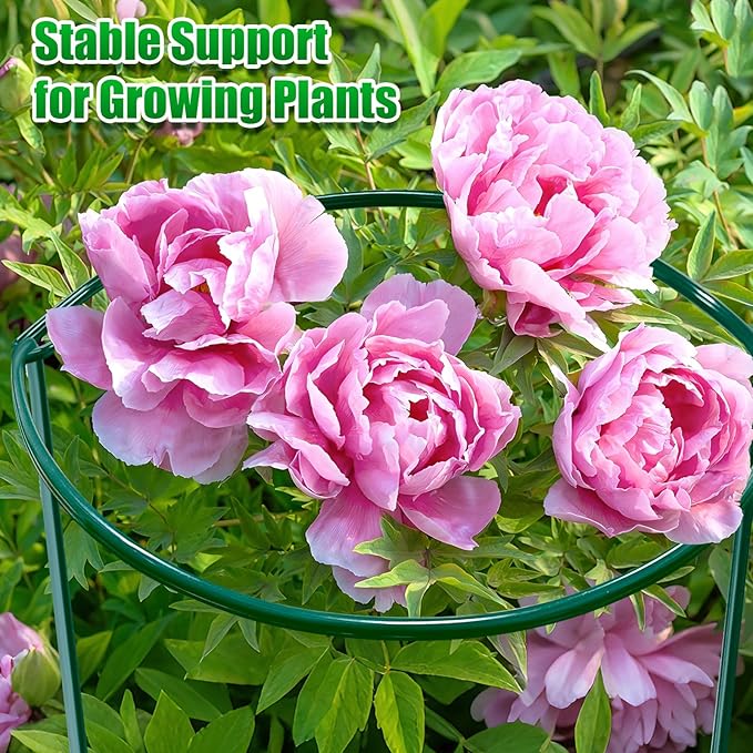 8 Pack Peony Support Cages, 10" W x 16" H Half Round Peony Plant Supports, Heavy Duty Metal Plant Support Stakes, Green Garden Plant Support Rings for Peony, Hydrangea, Roses & Flowers