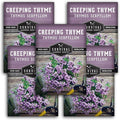 Creeping Thyme Seeds - Perennial Ground Cover Herb for Planting, Low Growing Lawn Alternative, Pollinator Friendly Garden - Heirloom Non-GMO Open Pollinated - Survival Garden Seeds (5 Pack)
