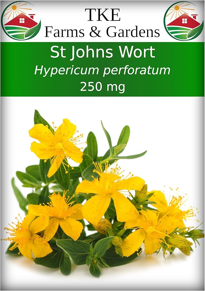 TKE Farms & Gardens - St. John's Wort Seeds for Planting - 250 mg, 2000 Heirloom Non-GMO Seeds, Veteran-Owned, Includes Instructions for Growing, Hypericum perforatum, Perennial/Medicinal Herb