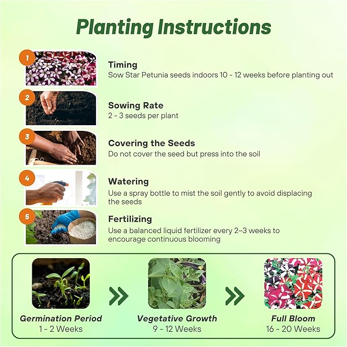 Outsidepride Star Multiflora Petunia Seeds - 500 Pcs. Annual, Compact, Flower Seeds for Planting, Vibrant Blooms, Ideal for Garden Beds, Hanging Baskets & Container Displays
