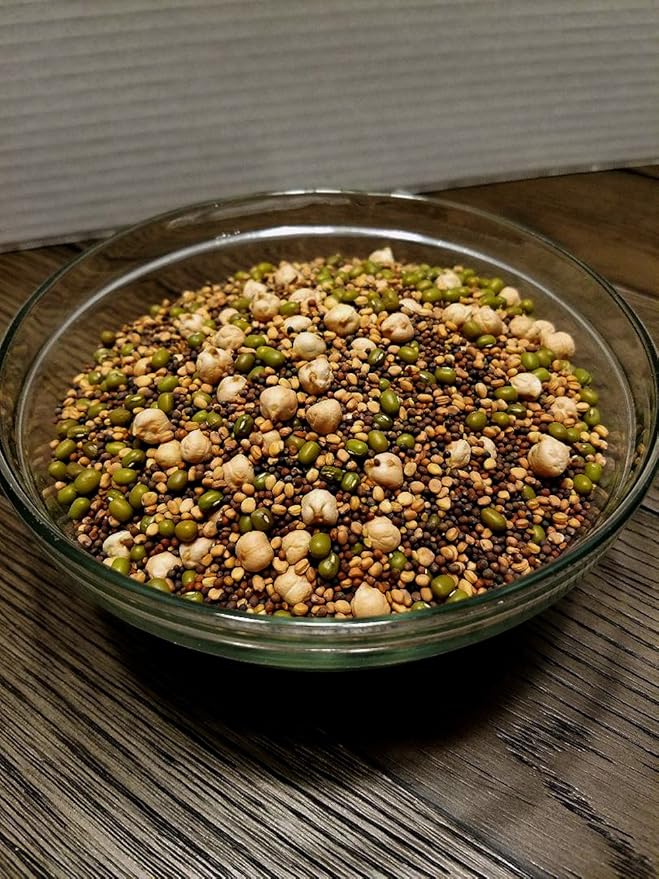 The Salad Bar Mix Seeds for Sprouting microgreens, 12 Ounce"COOL BEANS n SPROUTS" Brand, Broccoli, Alfalfa, Radish, Kale, Mustard, Arugula, Cress, Mung Bean, Garbanzo Bean