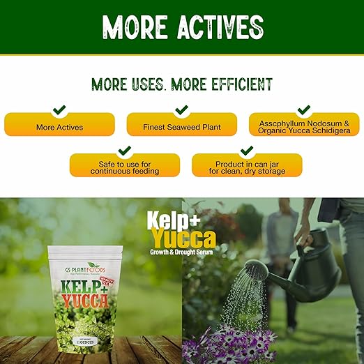 GS Plant Foods Kelp + Yucca Plant Fertilizer & Soil Conditioner – Heat & Drought Protection Formula for Vegetables, Lawns, Gardens & Houseplants (11 oz Dry Concentrate)