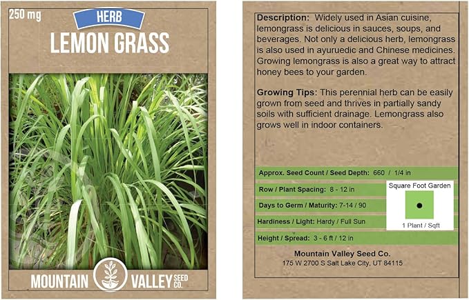 Lemon Grass Seeds for Planting Outdoor - 250 Mg Packet - Non-GMO, Heirloom Culinary Herb Garden Lemongrass Seeds - Cymbopogon citratus
