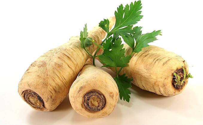 NIKA SEEDS - Seeds Herb Sugar Root Parsley Gray-White - 2000 Seeds