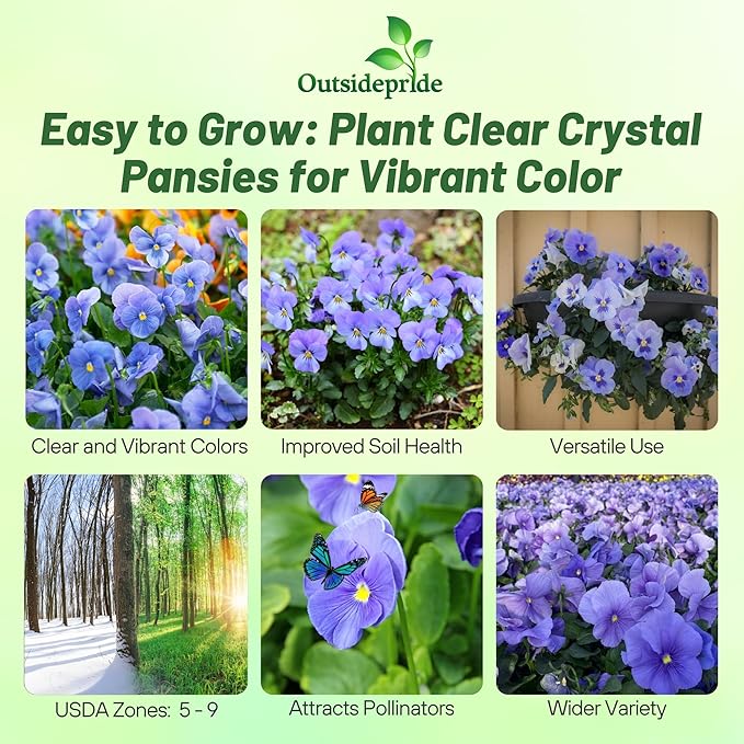 Outsidepride Light Blue Viola Pansy Seeds for Planting - 1,000 Pcs. Biennials, Trailing, Cold-Hardy & Pollinator Friendly Flowers with Fragrant Blooms for Garden Beds, Borders & Container Displays