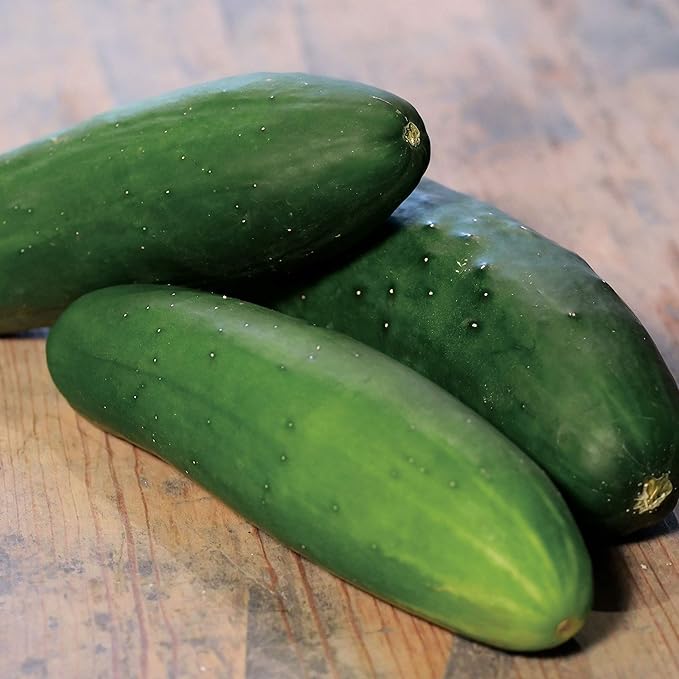 Park Seed Variety of Cucumber Seeds, Planting Cucumbers, Vegetable Seeds, Easy to Grow, Non-GMO, Perfect for Harvesting, Whopper II Hybrid, Pack of 20