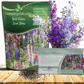 Outsidepride Mixed Rocket Larkspur Seeds for Planting Outdoors - 1000 Pcs Annual, Self-Seeding, Heat & Drought Tolerant Wildflower Seeds for Cut Flower Arrangements & Pollinator Gardens