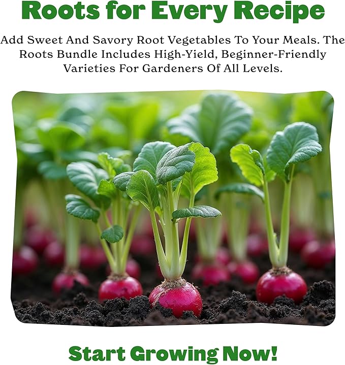 Epic Gardening Roots Seed Bundle - 4 Non-GMO Heirloom Varieties, Includes Beets, Rainbow Carrots & Radishes, Grow Nutritious Root Vegetables for Roasting, Soups & Healthy Homegrown Meals