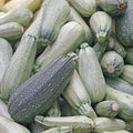 Zucchini Squash Seeds for Planting - Heirloom Packet with Instructions to Plant & Grow a Home Outdoor Garden – Great Gardening Gift, 2 Packets