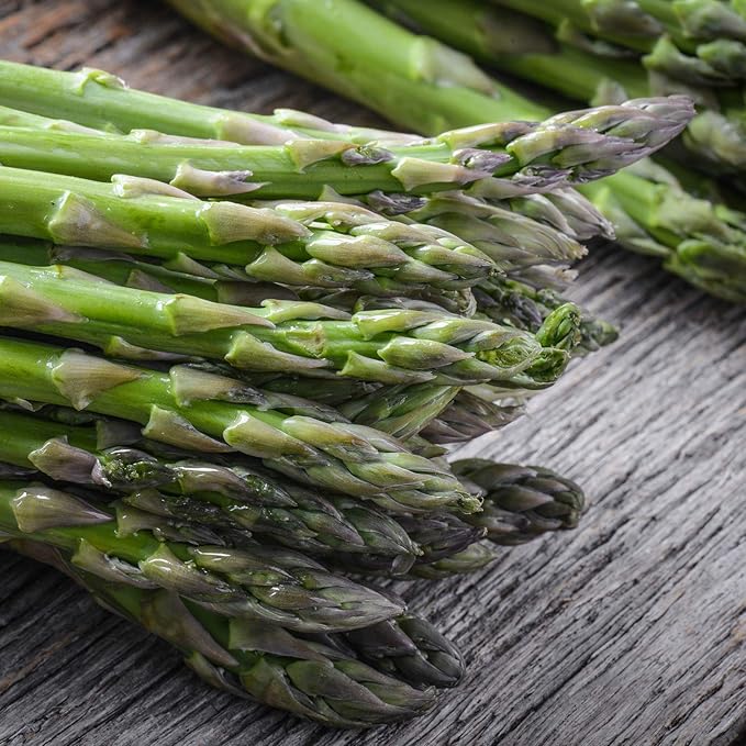 UC 157 F2 Asparagus Garden Seeds - 0.25 Oz - Non-GMO, Hybrid, Perennial Vegetable Gardening Seeds