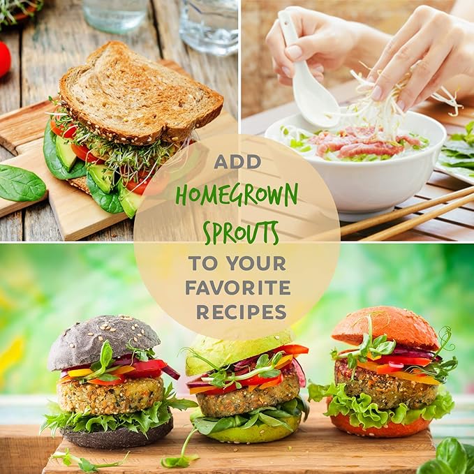 Organic Broccoli Sprouting Seeds by Handy Pantry | 4 oz. Resealable Bag | Non-GMO Broccoli Sprouts Seeds, Contain Sulforaphane
