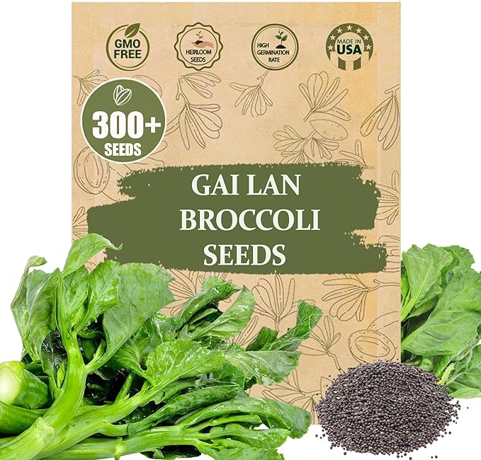 Premium GAI LAN (Broccoli) Seeds – 300+ Non-GMO Heirloom Seeds, Fast-Growing, High-Yield Variety with Crisp Stems & Tender Leaves
