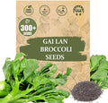 Premium GAI LAN (Broccoli) Seeds – 300+ Non-GMO Heirloom Seeds, Fast-Growing, High-Yield Variety with Crisp Stems & Tender Leaves