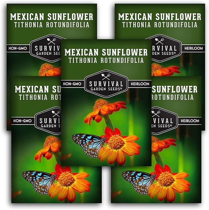 Mexican Sunflower Seeds for Planting – Tall Orange Tithonia Rotundifolia Pollinator Flower, Heirloom Non GMO Annual Flower Seed to Plant - Survival Garden Seeds (5 Packs)