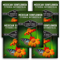 Mexican Sunflower Seeds for Planting – Tall Orange Tithonia Rotundifolia Pollinator Flower, Heirloom Non GMO Annual Flower Seed to Plant - Survival Garden Seeds (5 Packs)