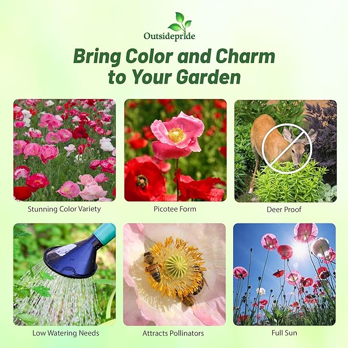 Outsidepride Shirley Poppy Seeds for Planting - 5 lbs Annual, Drought-Tolerant & Easy to Grow Wildflower Seeds with Vibrant Mix Blooms for Landscaping, & Pollinator Garden