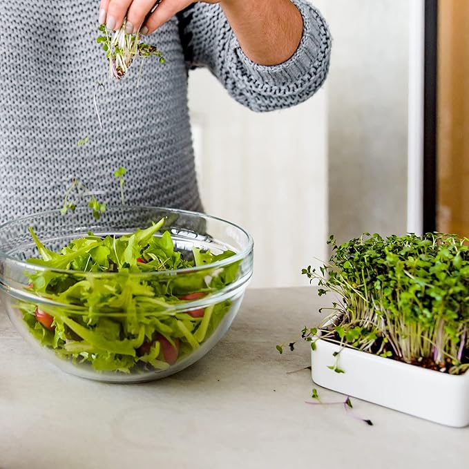 Back to The Roots 43003 Microgreens Ceramic Kit-Refill