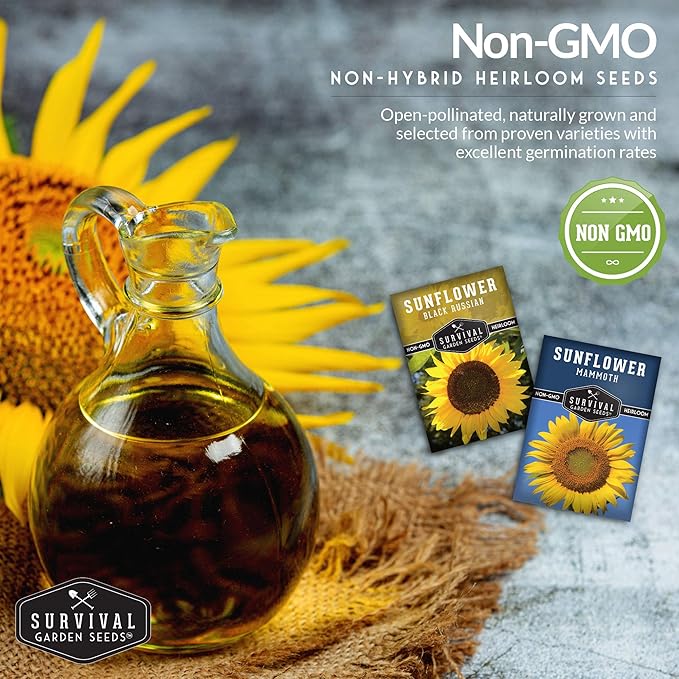Edible Sunflower Seeds Collection for Planting | 2 Giant Flower Varieties – Mammoth & Black Russian – Heirloom Non-GMO – Survival Garden Seeds
