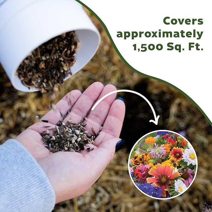 Botanical Interests Butterfly Garden Wildflower Seed Mix Shaker - Covers 1,500 sq ft, 27 Native Flowers & Herbs for Pollinators, Perennial & Annual Seeds for Full Sun, Eco-Friendly Recyclable Tube