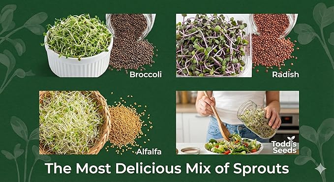 Todd's Seeds Sprouting Seed Mix; Broccoli, Radish, Alfalfa, Non-GMO, Chemical Free, High Germination (1/4 Pound)