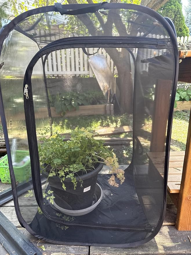 Mesh Plant Enclosure Pop-Up Cage Plant Protection Tent, 24”x 24”x 36” Mesh Plant Cover Grow Tent Plant Cover for Fruit, Vegetables, Pests, Bird and Pest Protection Guard for Flowers and Herbs