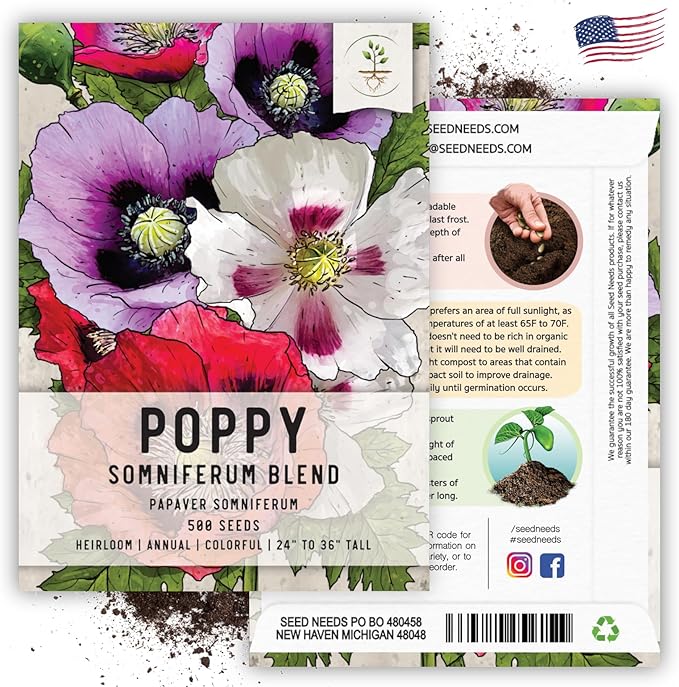 Seed Needs Mixed Somniferum Poppy Seeds for Planting - Heirloom & Open Pollinated Annual Flowers - Colorful Masses of Wildflowers, Perfect for a Butterfly Garden (2 Packs)