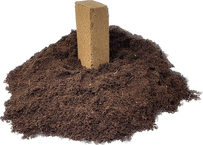 Seed Needs, Basil Seed Packet Collection Seed Starting Bundle (Includes 8 Individual Seed Packets, 36 Starter Pots & 1 Expandable Coco Coir Brick) Heirloom, Non-GMO & Untreated